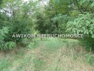 Działka rolna Esterka gm. Nowy Kawęczyn - 5