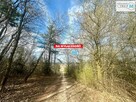 Działka budowlana MORAWICA gm. Morawica WOLA MORAWICKA - 1