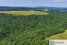 Działka leśna Łukowe gm. Zagórz, - 6