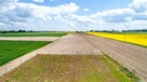 Działka budowlana Niedrzwica Kościelna gm. Niedrzwica Duża - 2