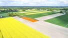 Działka budowlana Niedrzwica Kościelna gm. Niedrzwica Duża - 3