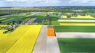 Działka budowlana Niedrzwica Kościelna gm. Niedrzwica Duża - 4