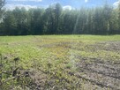 Działka siedliskowa Grzegorzewice gm. Żabia Wola - 6