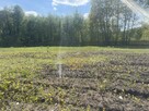 Działka siedliskowa Grzegorzewice gm. Żabia Wola - 7