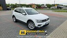 Volkswagen Tiguan Tel: 696 674 157 Lokalizacja: Żory - 1