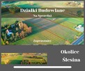 Okolice Ślesina – Działki Budowlane z Warunkami zabudowy - 1