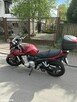 Suzuki Bandit - 3