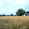 Działka budowlano-rolna uzbrojona pow. 4403m2 - 6