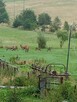Agroturystyka, noclegi Bieszczady - 3