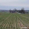 Działka budowlano-rolna uzbrojona pow. 4403m2 - 4
