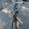Rower Gazella - 5