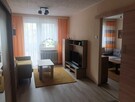 Do wynajęcia mieszkanie o podwyższonym standardzie - 7
