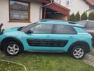 sprzedam cactusa - 3
