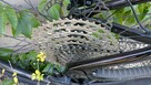 Giant Reign Advanced Pro 29 carbon dowód zakupu enduro trail - 8