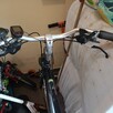 Rower Gazella - 11