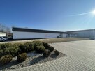 Lokal użytkowy Staszów, al. Tadeusza Kościuszki - 3