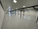 Lokal użytkowy Staszów, al. Tadeusza Kościuszki - 5