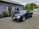 Mercedes CLK 350 3.5 Benzyna V6 272 KM, Skóra, Automat, Łopatki, Alufelgi AMG, EL. Dach - 3