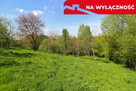 Działka rolno-budowlana z lasem - 8
