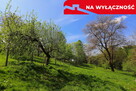 Działka rolno-budowlana z lasem - 10