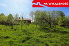 Działka rolno-budowlana z lasem - 11