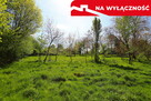 Działka rolno-budowlana z lasem - 12