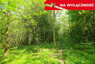 Działka rolno-budowlana z lasem - 15