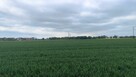 Mieszkanie Siechnice, Bzowa - 13