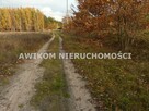 Działka usługowa Puszcza Mariańska - 1
