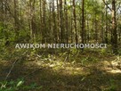 Działka leśna Rawa Mazowiecka Przewodowice - 6