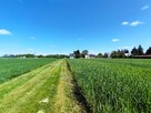Działka usługowa Złotniki gm. Dalików, - 3