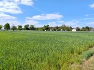 Działka usługowa Złotniki gm. Dalików, - 5