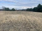 Sprzedam działki rekreacyjne w Pawłówku nad Narwią - 7