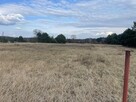 Sprzedam działki rekreacyjne w Pawłówku nad Narwią - 8