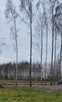 Działka do zabudowy otulina parku krajobrazowego - 13