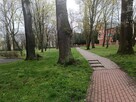 48 m² | 2 pokoje | Konstanicn | Po remoncie - 7