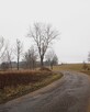 Działka 2000 m2 k Mrągowa, własny pomost, jezioro - 6