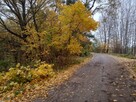 Działka 2000 m2 k Mrągowa, własny pomost, jezioro - 9