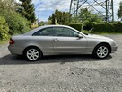 Mercedes CLK  | Elegance | Stan perfekcyjny - 8