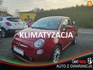 Fiat 500 Klimatyzacja / Komputer / Stan bardzo dobry - 1