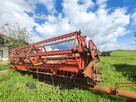 Sprzedam Bizona Z056 - 4