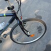 Rower Gazella - 3