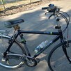 Rower Gazella - 4