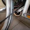 Rower Gazella - 12
