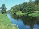 Działka z Lasem - 2