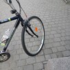 Rower Gazella - 8
