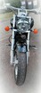 Honda VTX 1300 - 2