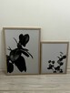 Obrazy obraz rosliny roslina minimal japandi - 1
