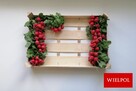 Skrzynki drewniane na rzodkiewki / Łuszczki do rzodkiewki - 8