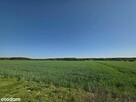 Piękne działki w Kaszczorze, blisko Jeziora Wieleńskiego - 2